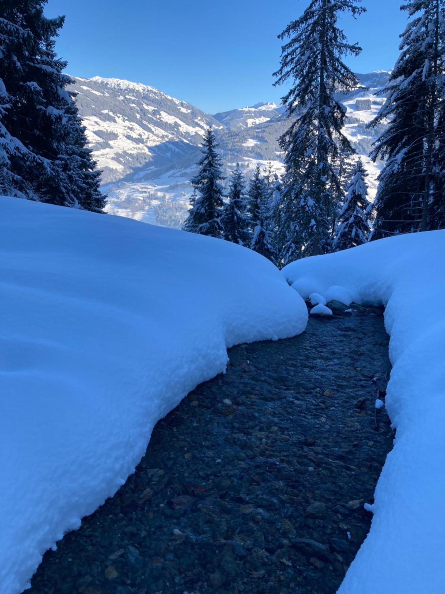 Вилла Goass'N Alm Zillertal Хиппах Экстерьер фото