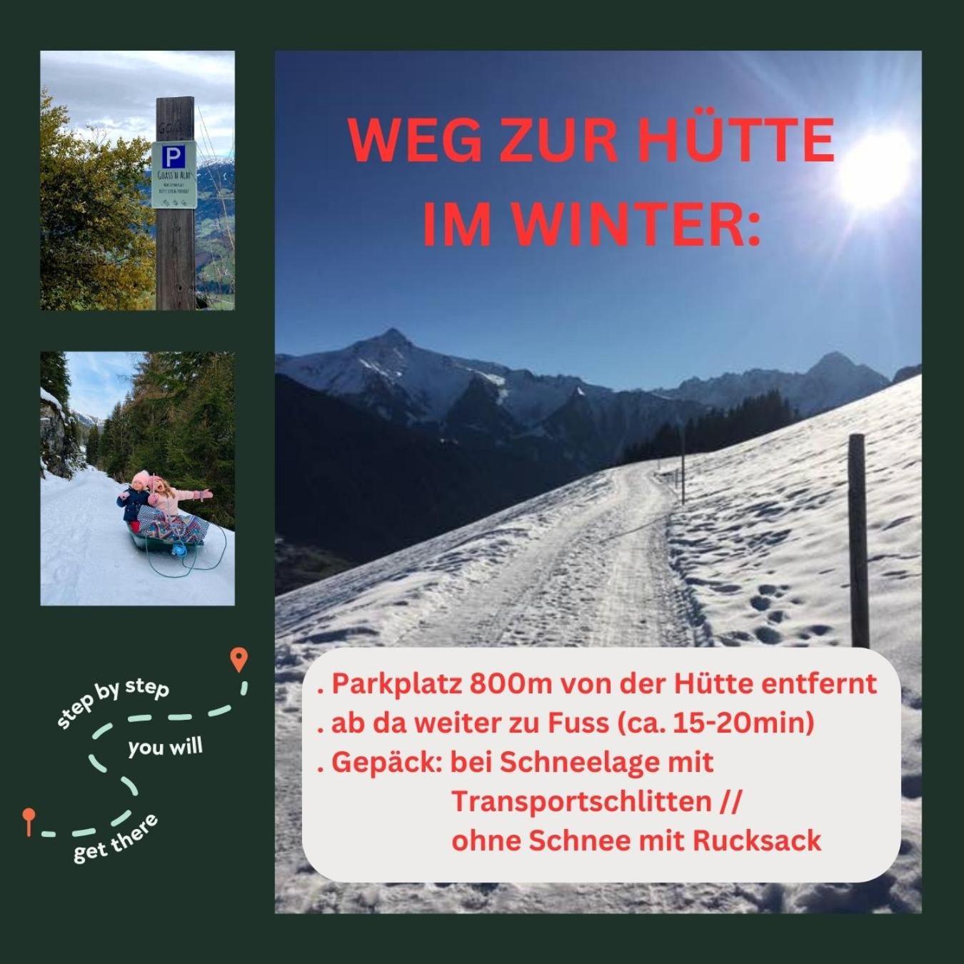 Вилла Goass'N Alm Zillertal Хиппах Экстерьер фото